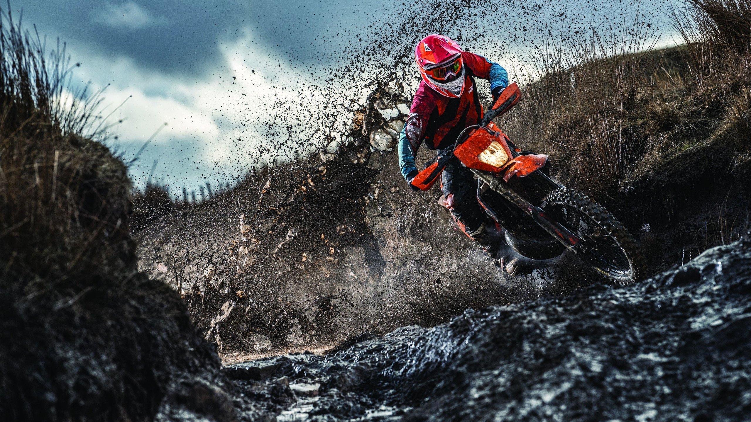 -赛场上球员们的激情表现令人动容，赛场上球员们的激情表现令人动容的句子