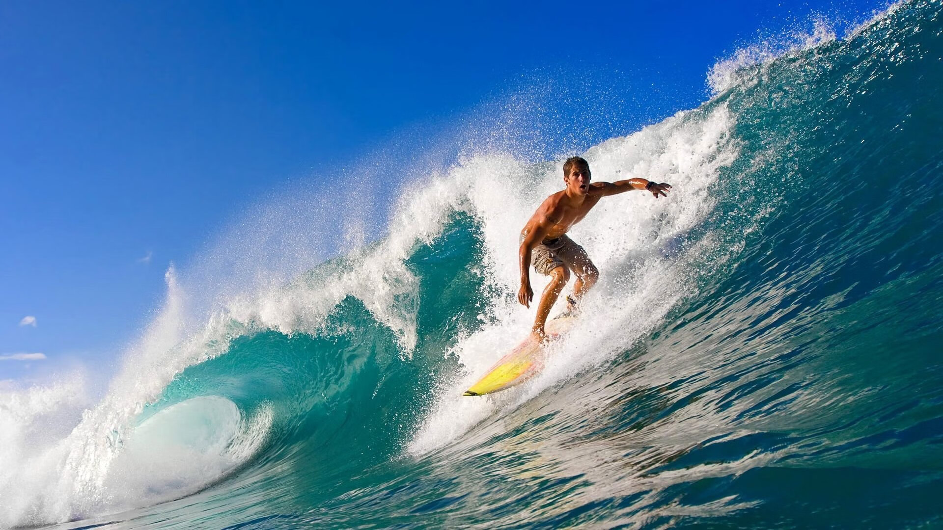 雄狮内线优势明显，带领球队一路高歌，雄狮科普